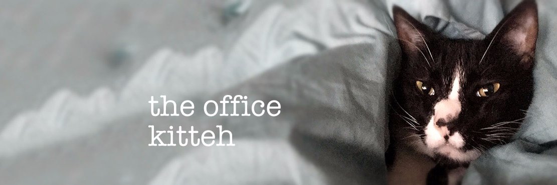 theofficekitteh's profile banner image