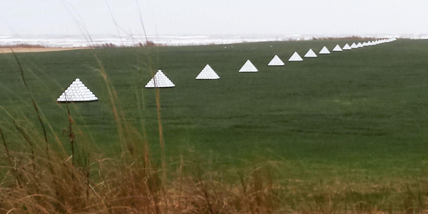 Barton College Golf banner