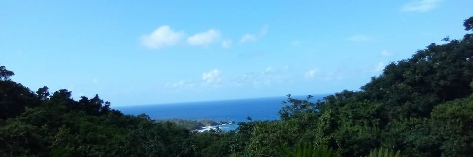 Rani Amy Young banner