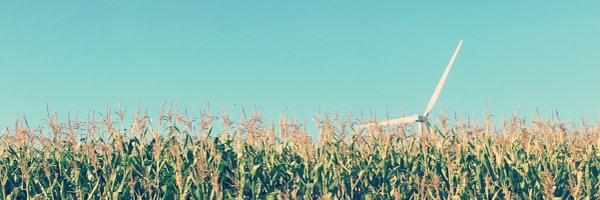 cmetelitsa Profile Banner
