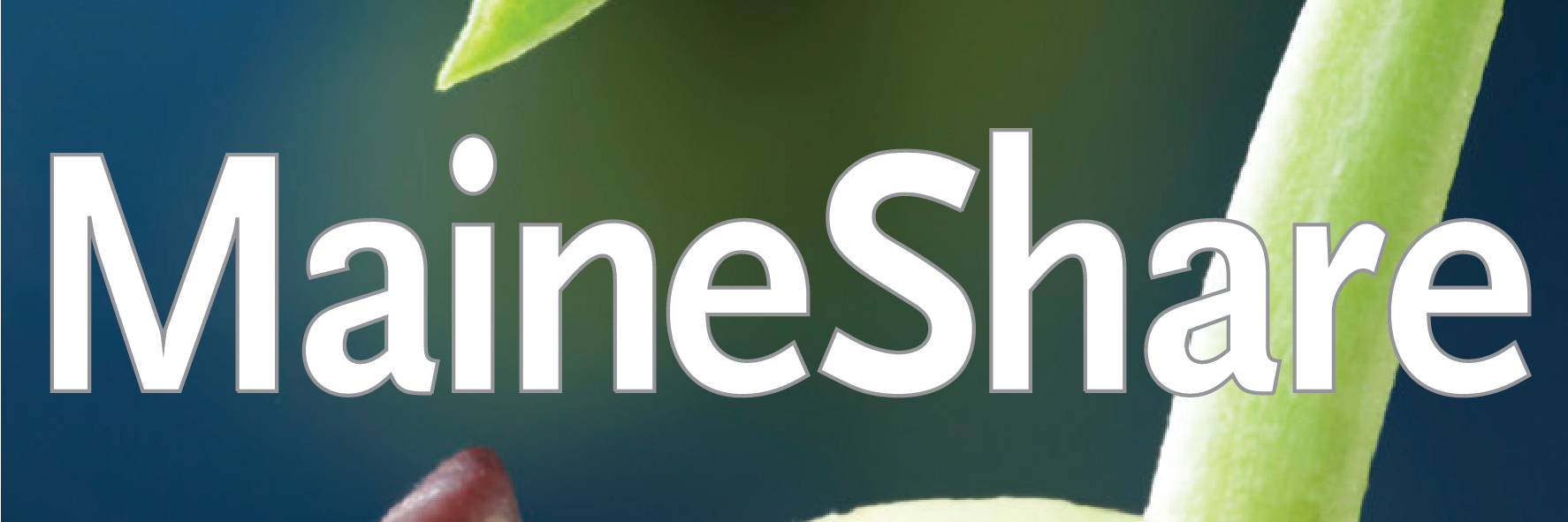 MaineShare's profile banner image