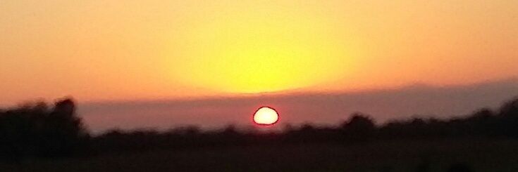 lolly stevens banner