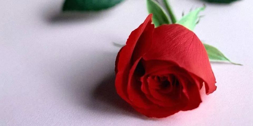 Mt_kesh47's profile banner image
