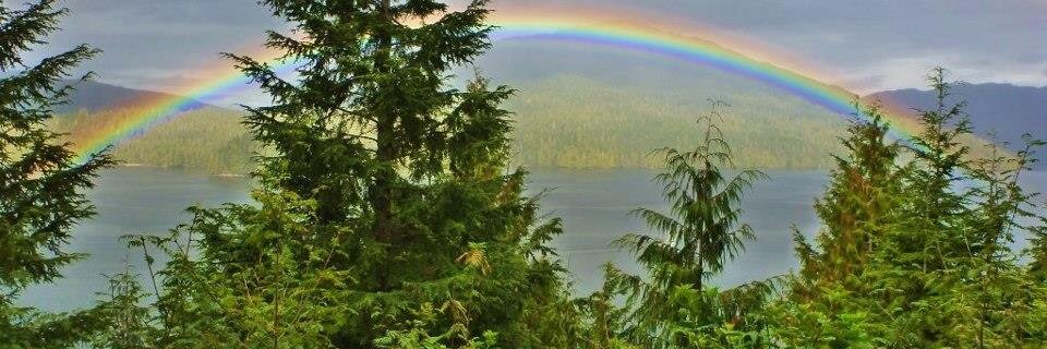 LianneNOTL's profile banner image