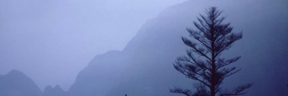 genoudmaxime's profile banner image