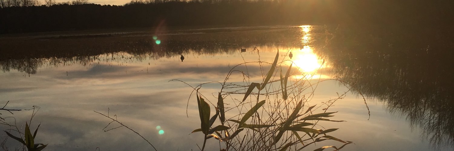lanedaniel11's profile banner image