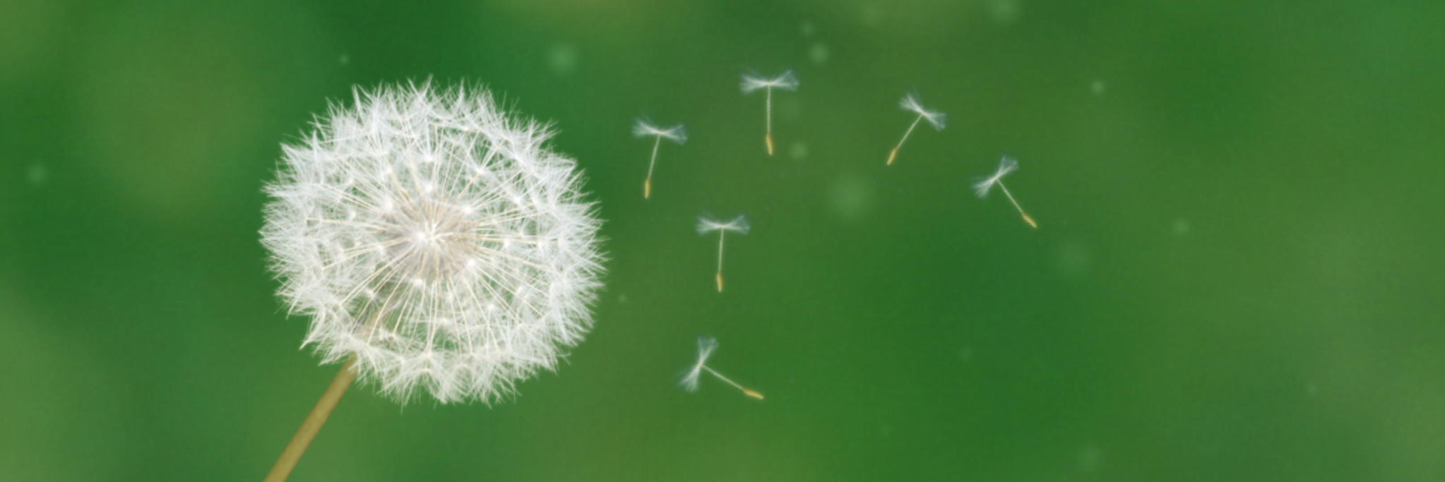 Cardie-EAFC Créteil banner