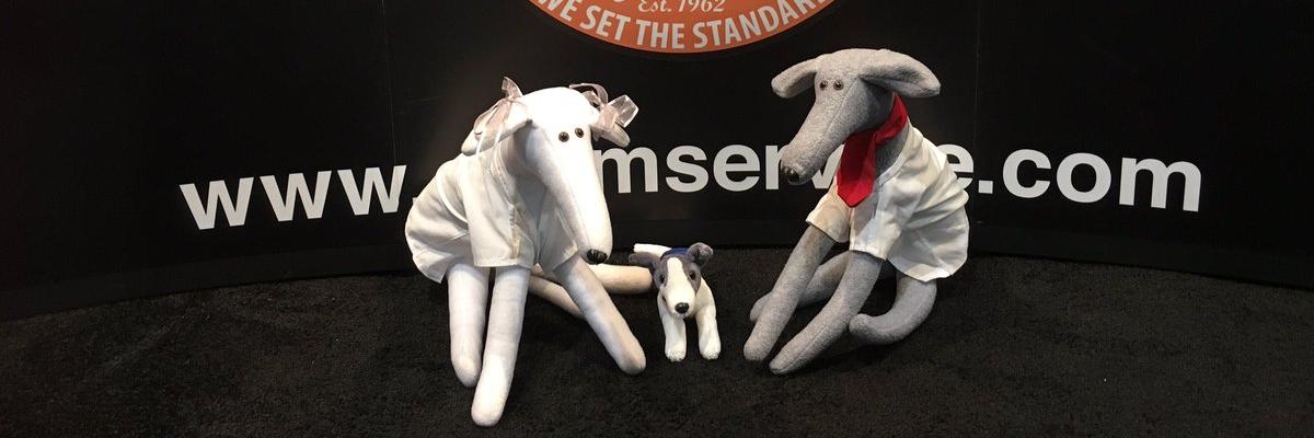 GreyhoundGeorge's profile banner image