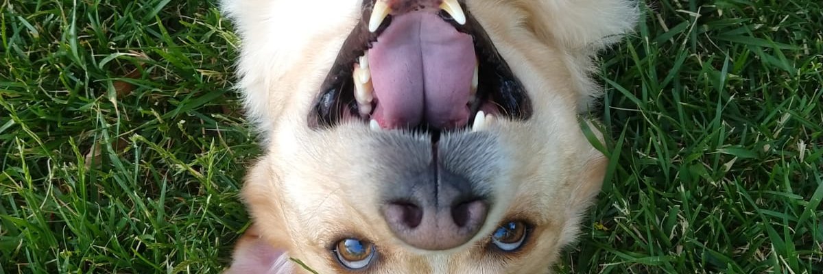 FranRedivoo's profile banner image