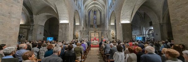 bisbatgirona Profile Banner