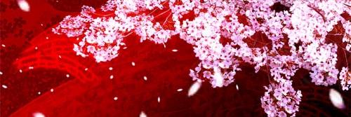 JP_GIRLS_PHOTO's profile banner image