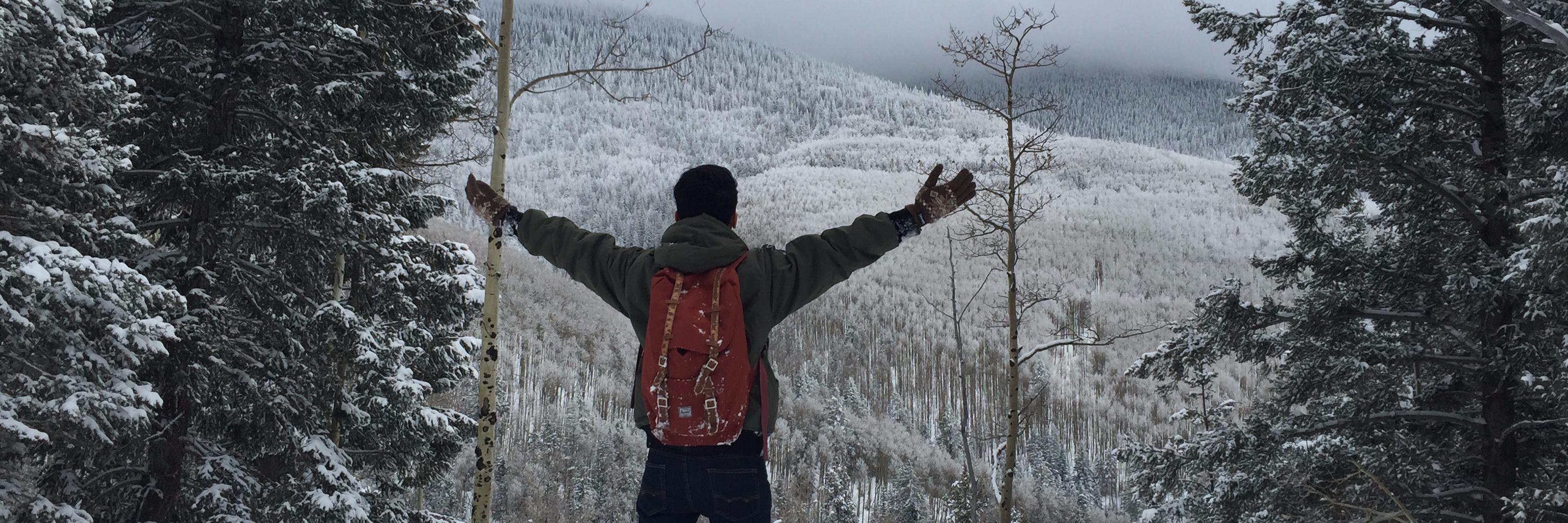 mountaintweety's profile banner image