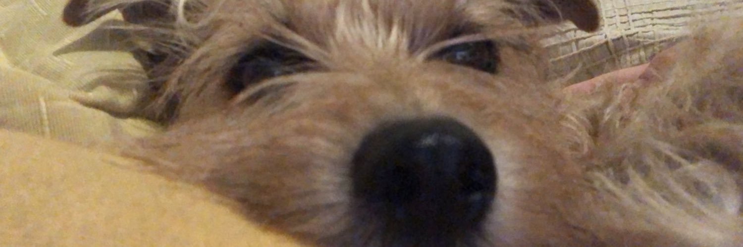 machadossdu's profile banner image