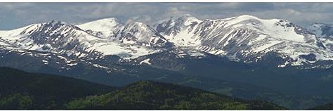 Roberta Robinette banner