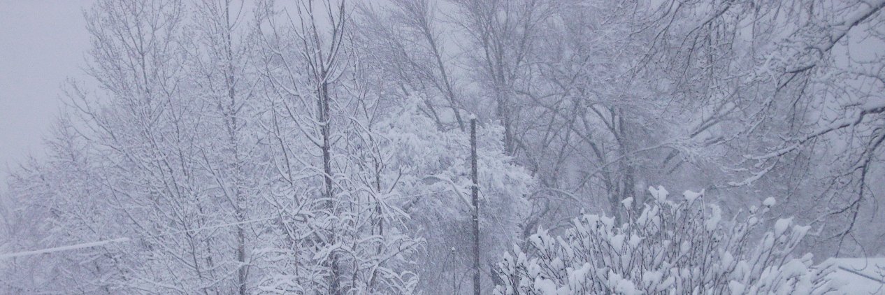 Jeanne Stewart banner