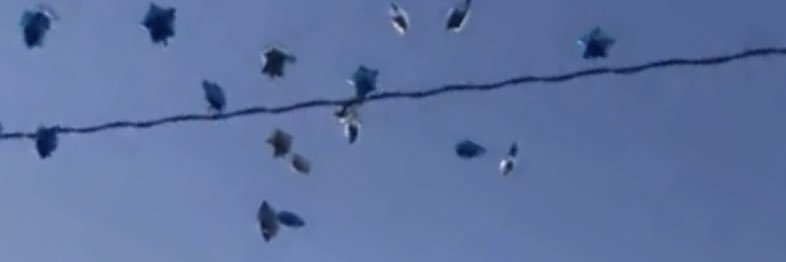 9duw0p's profile banner image