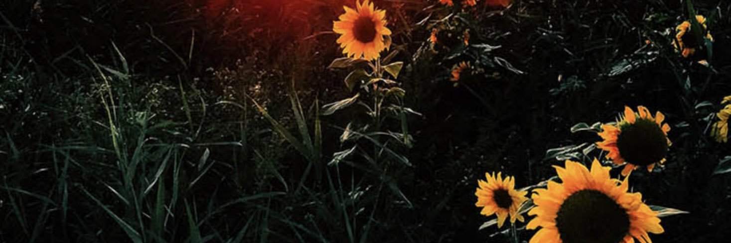 HeatherHJC's profile banner image