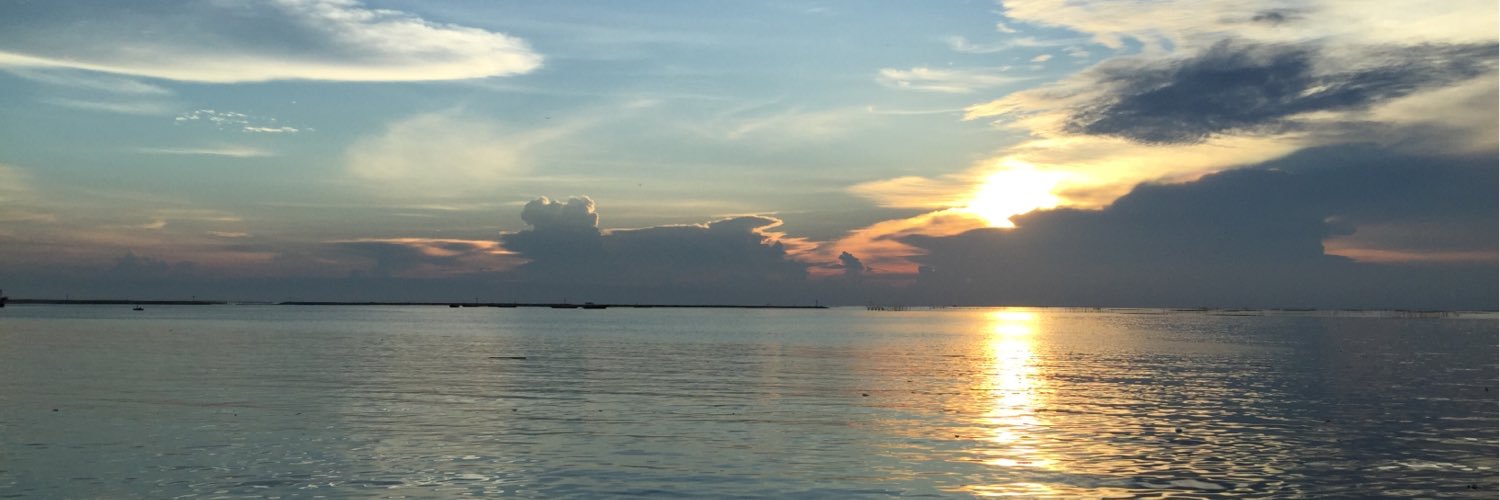 fhonfhonfhon's profile banner image