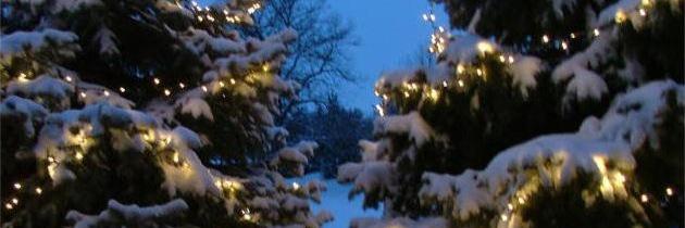 Safety Santa 🎅🚨 banner