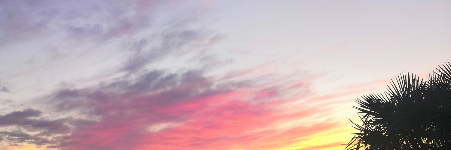 Valentin Lcrx 🍉 banner