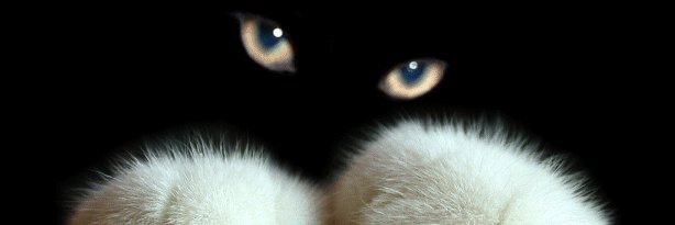 MyOp4them's profile banner image