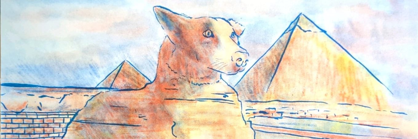 NadavBeyar's profile banner image