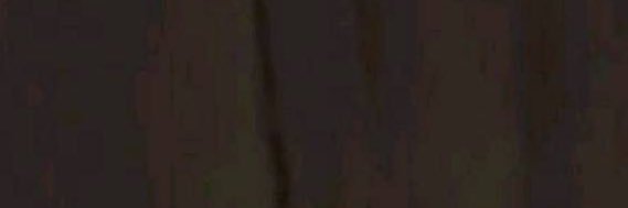 غاليه العنزي banner
