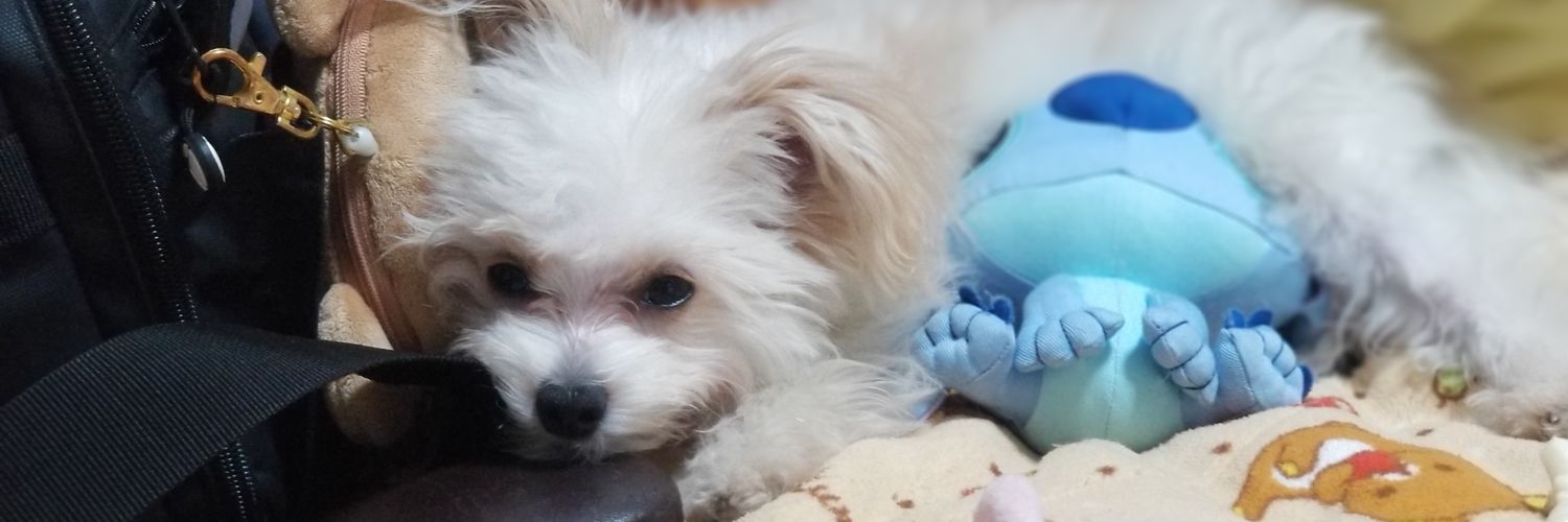 とろ&たら(ヨノナカバカナノヨ)'s banner