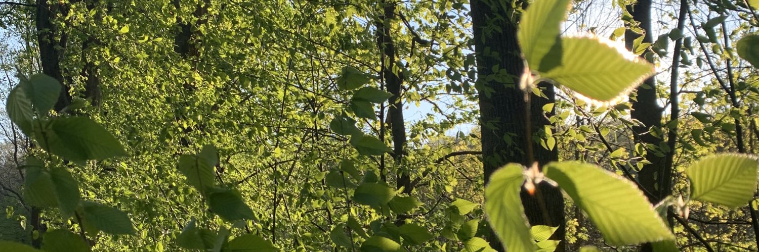 Milton Rosario banner