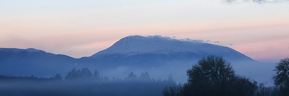 BCHMuseum's profile banner image