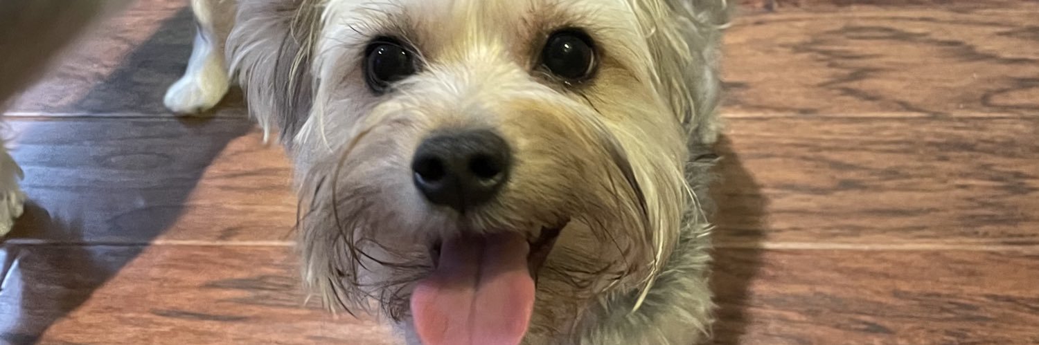 mostlygeneric's profile banner image