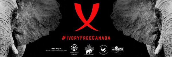 elephanaticsbc Profile Banner