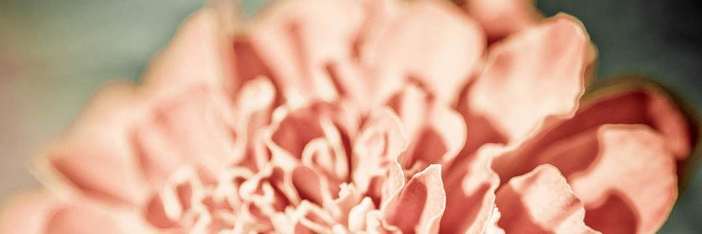 climosss's profile banner image