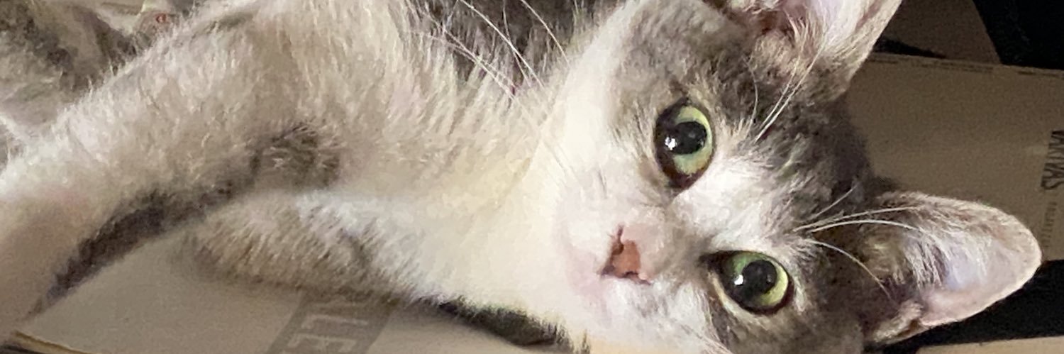 aibon415's profile banner image