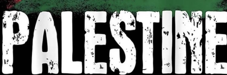 celionarede's profile banner image