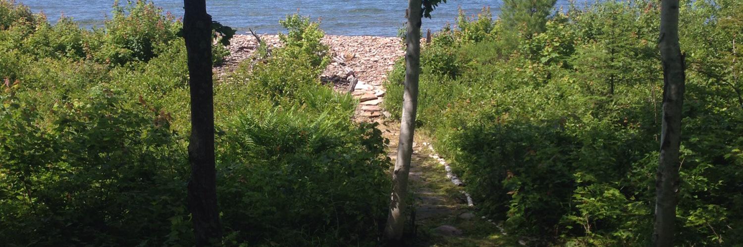 Mike Spatchcock banner