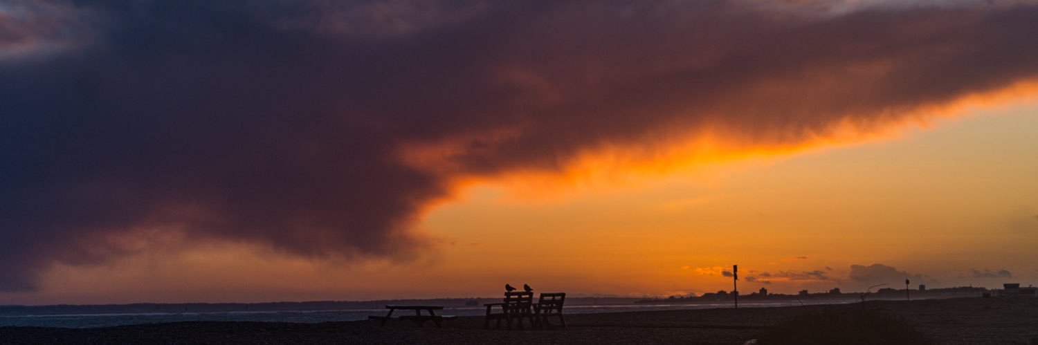TooMuchCoffee1's profile banner image