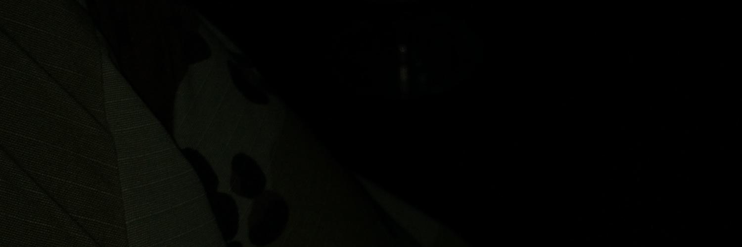 alioha313's profile banner image