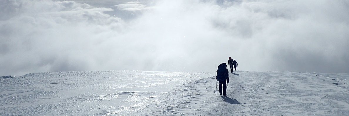 boy_crying_wolf's profile banner image
