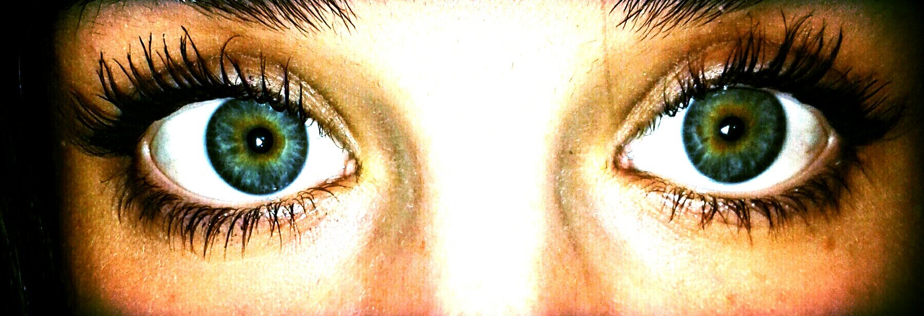 Natalia Alcaraz banner