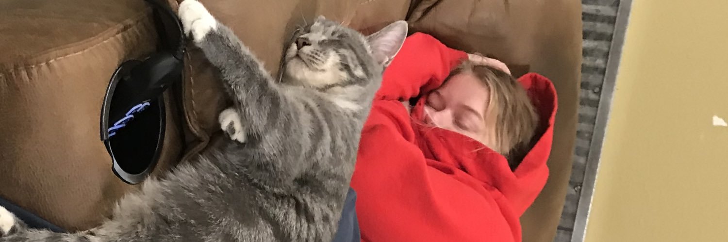 RachelKrier's profile banner image