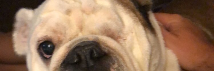 CoachFish_4's profile banner image