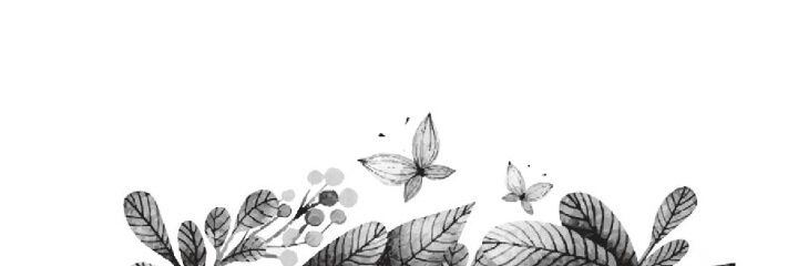 ErisaWaro's profile banner image