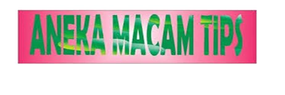 AnekaMacamTips's profile banner image
