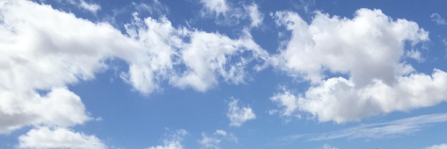 nhs_bvn's profile banner image