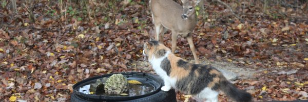 slgilmore1 Profile Banner