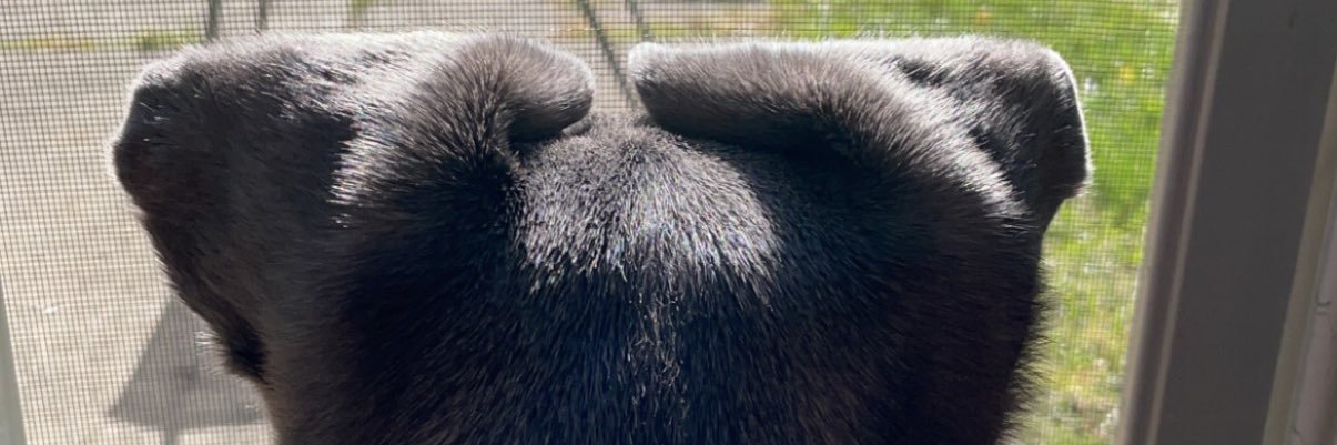 jsquared___'s profile banner image