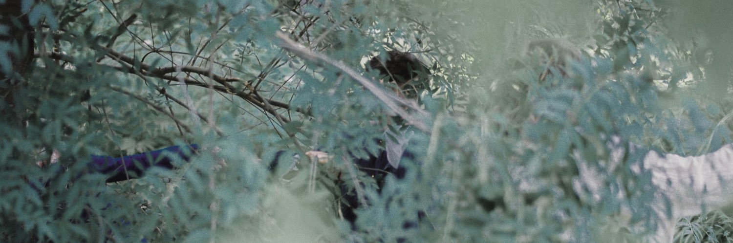 averagenegative's profile banner image