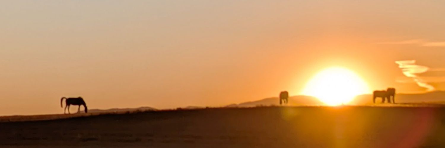 komanoserohan's profile banner image