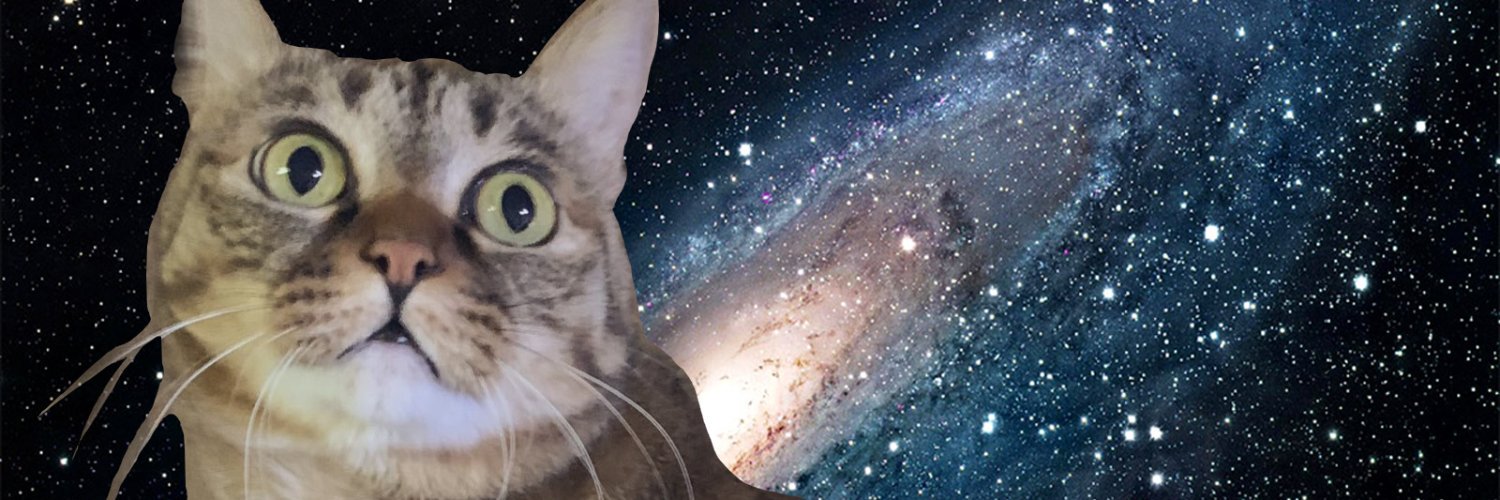 HAN🟠冬コミ新刊委託中 banner